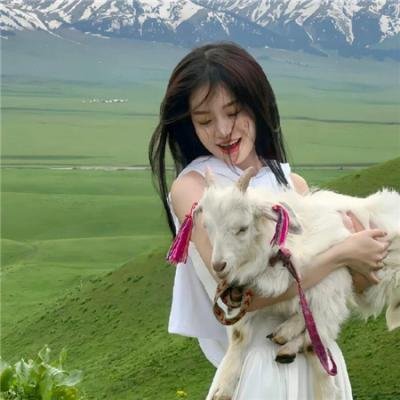 翡翠王